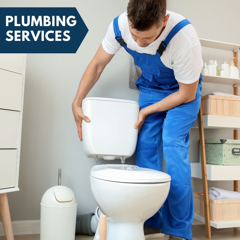 Plumbing Company in Cary, IL